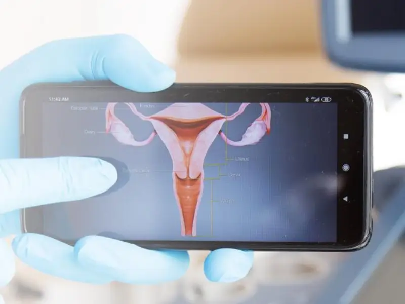 Bezpłatne badania HPV i cytologia płynna dostępne na NFZ dla kobiet w Toruniu