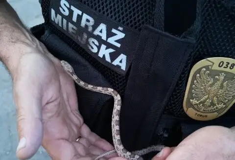 Wrzesień w działaniach Patrolu Eko w Toruniu