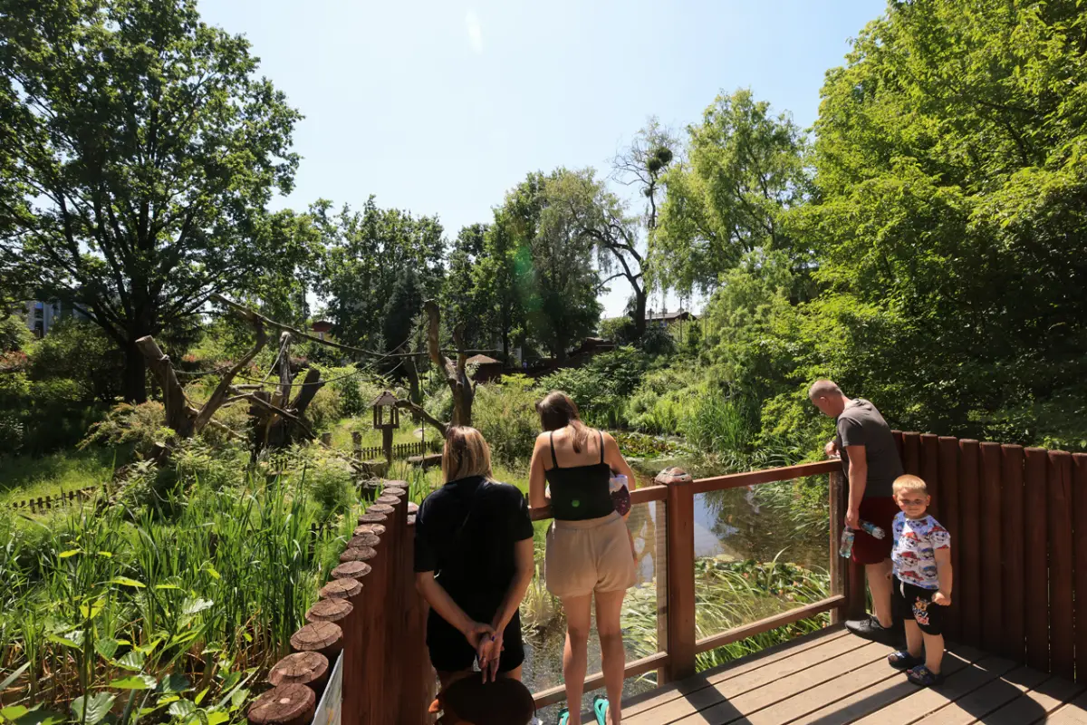 Edukacyjne zajęcia dla dzieci w Ogrodzie Zoobotanicznym w Toruniu