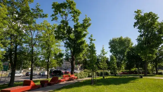 Ostrzeżenie o upale w Toruniu w sobotę