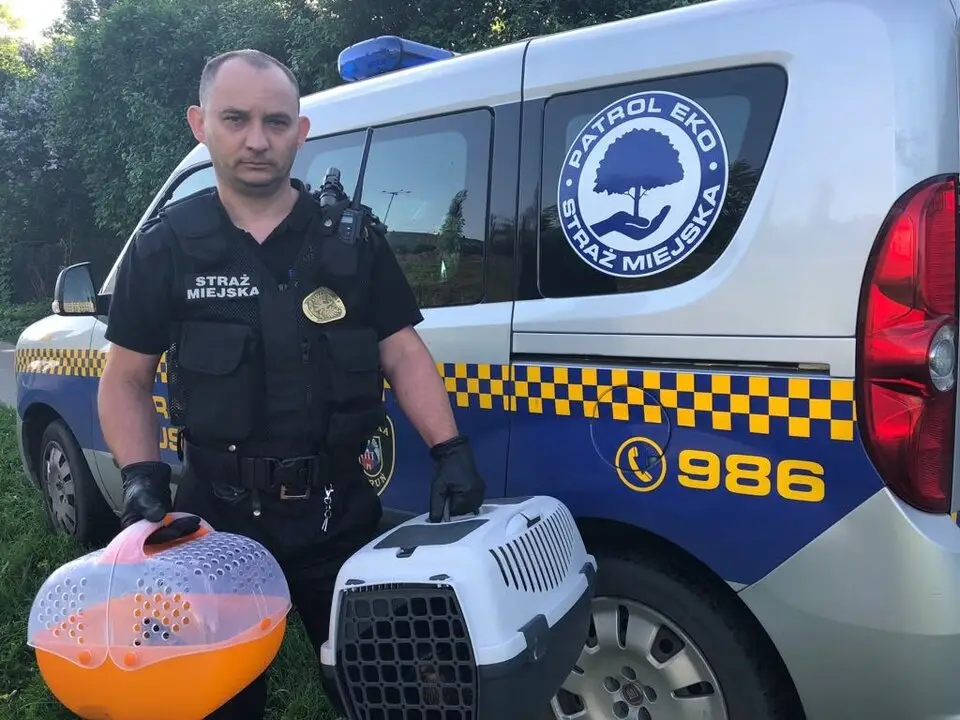 Podsumowanie działań Patroli Eko w czerwcu