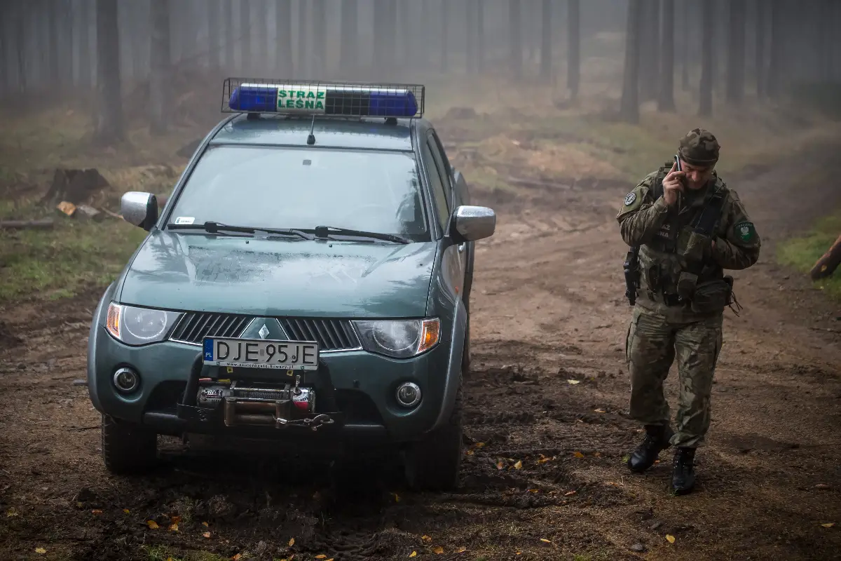 Straż Leśna uruchamia jesienną akcję "Stroisz 26"