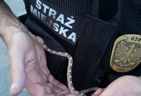 Raport z działalności Patrolu Eko w lipcu